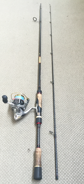 シーバスロッド, バチ抜け, 港湾部