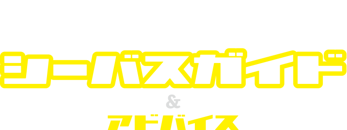 オカッパリシーバスガイド&アドバイス