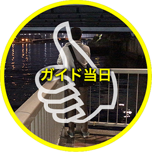 ガイド当日