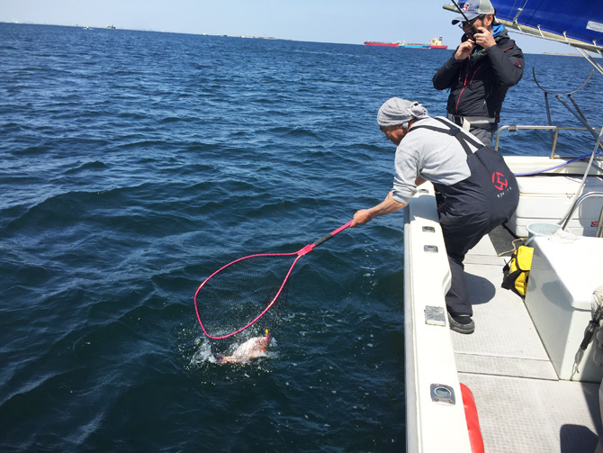 マツキ、無事ネットイン