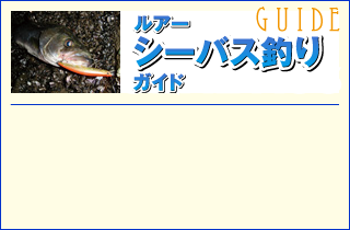 シーバスおかっぱりガイド