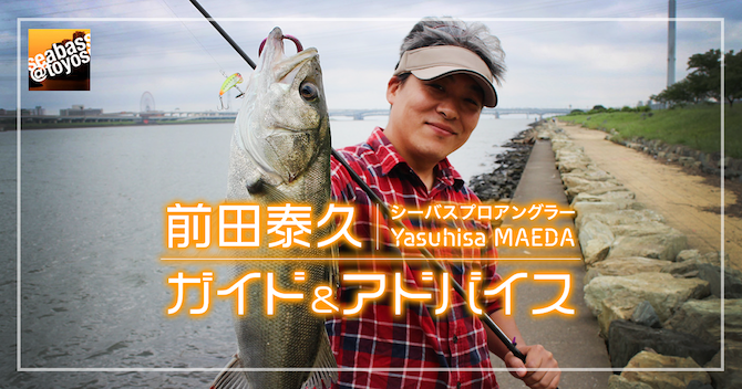 前田泰久シーバスガイド アドバイス シーバス 豊洲
