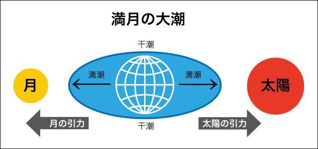 潮の満ち引きの仕組みをこの際まとめてみた リアルフィッシングカウンシル