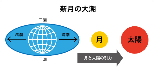 新月の大潮 新月の大潮