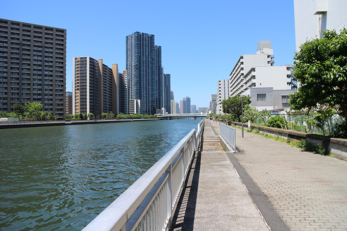 豊洲運河昼