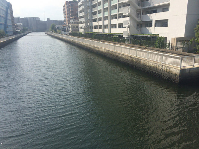 通常の運河の潮色