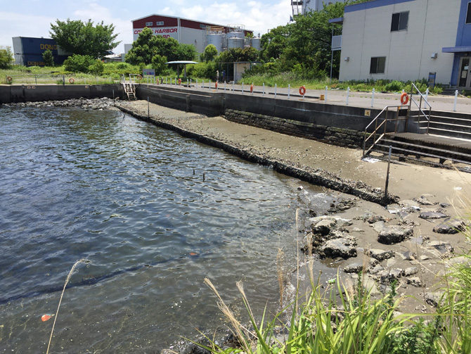 横浜港『潮彩の渚』を見て来た