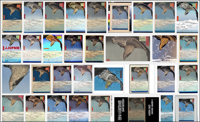 深川洲崎十万坪カラーバリエーション