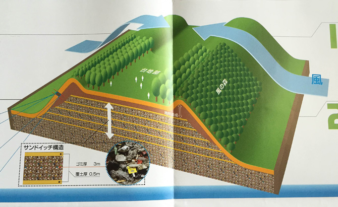 海の森イラスト