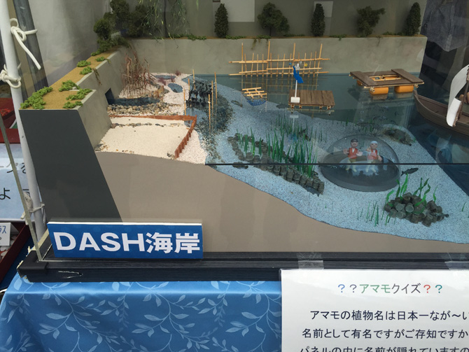 DASH海岸模型