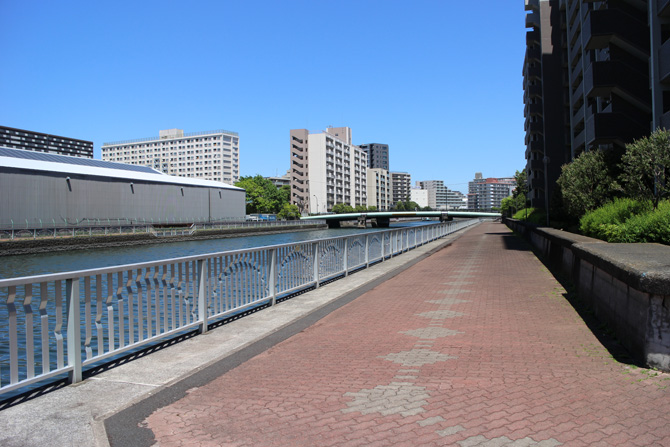 豊洲護岸02