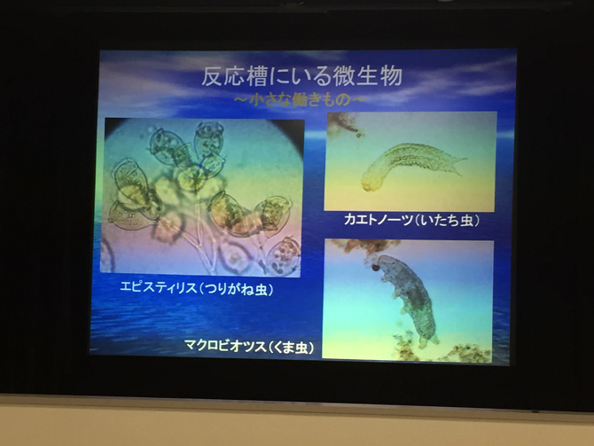 スライド解説03