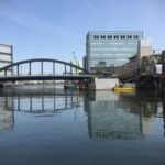 江東区の運河でSUP浮かべてシーバスも狙いつつあちこちと。なんとアイツが日向ぼっこしてた。