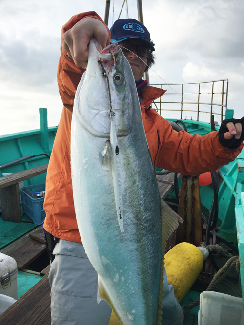 ワラサ+Gummy（ガミー）160g