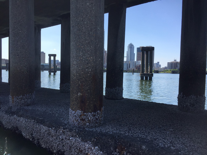 囲い柵の間からの眺め