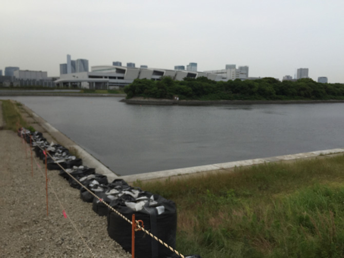 『有明親水海浜公園』予定地02