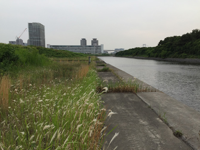 『有明親水海浜公園』予定地03