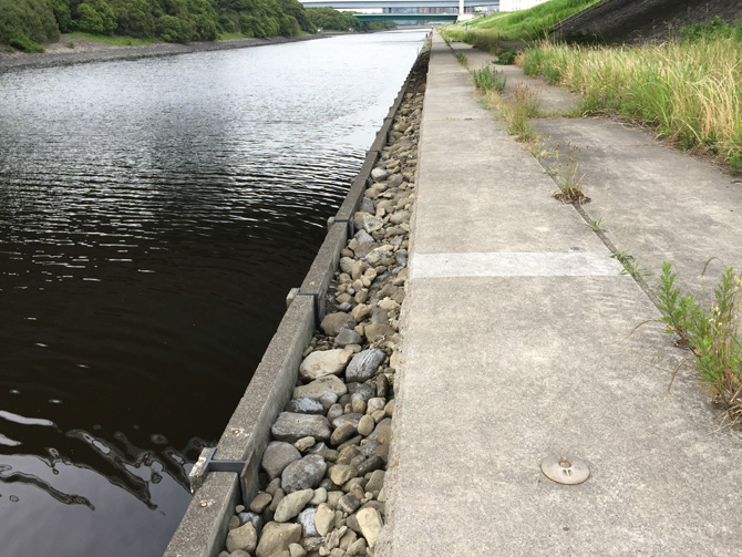 『有明親水海浜公園』予定地カニ護岸