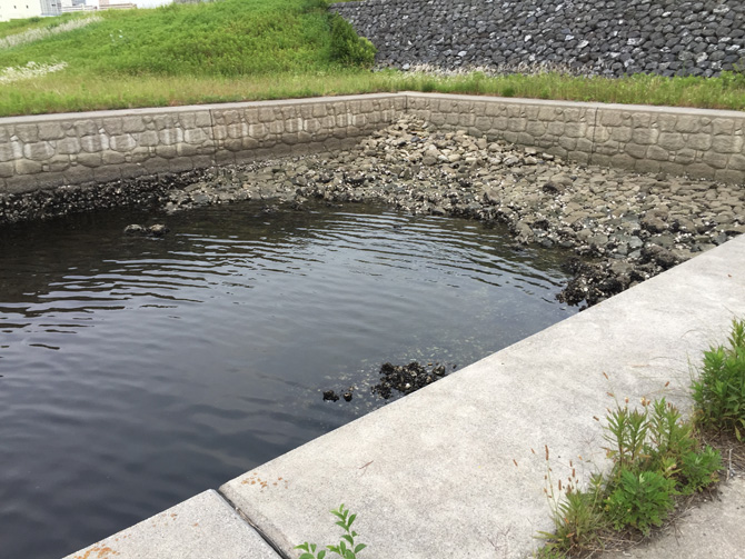 『有明親水海浜公園』予定地ワンド