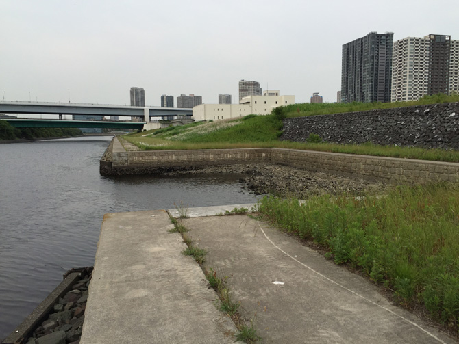 『有明親水海浜公園』予定地ワンド02