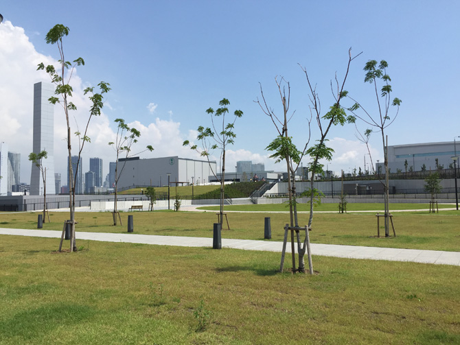 豊洲ぐるり公園レインボーブリッジ側04