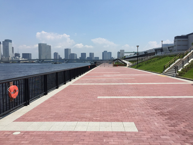 豊洲ぐるり公園レインボーブリッジ側09