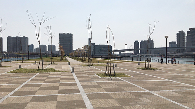 ぐるり公園先端部護岸上