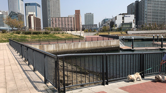 東電堀最奥部03