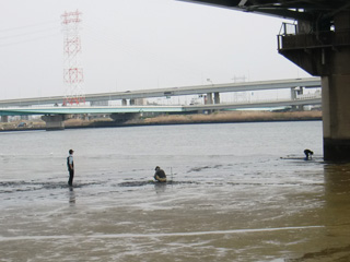 荒川しじみ狩り