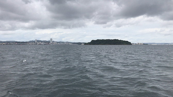 今回の中心的ポイント猿島周り