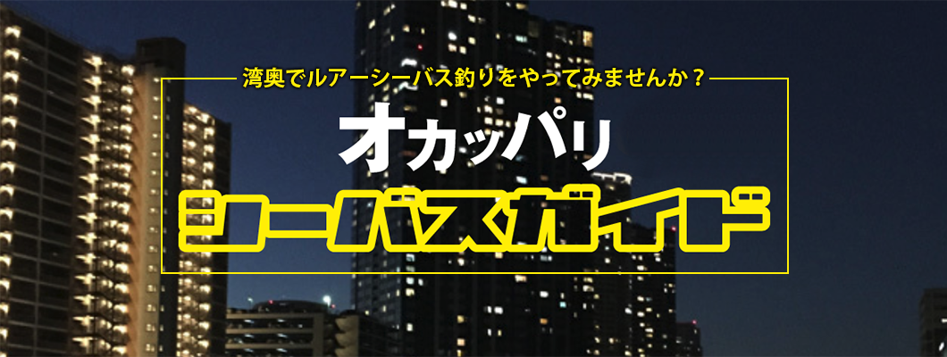 オカッパリシーバスガイド