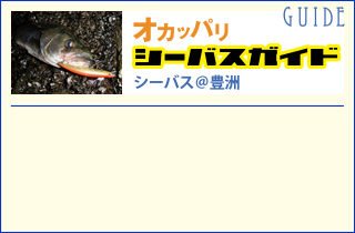 オカッパリシーバスガイド