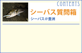 シーバス質問箱