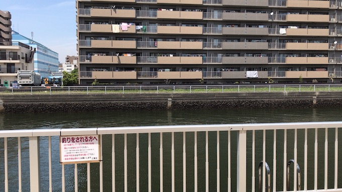 ルアーは対岸の住宅に直撃させないように