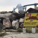 2019年の台風15号が関東通過して3日後の潮見運河から若洲海浜公園往復