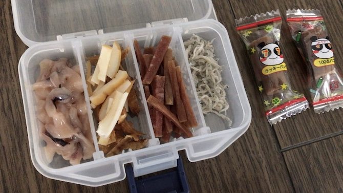 エサ用に切って準備したもの