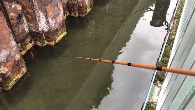 ハゼのアタリを待つ