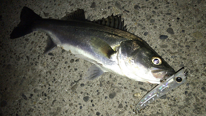 バロール90で少し下の層を