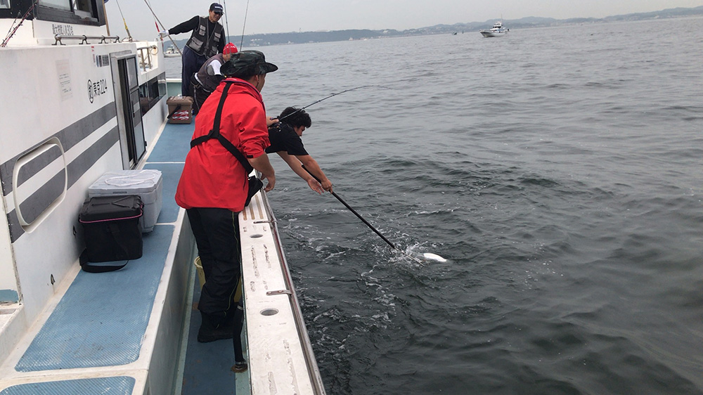 タチウオランディング