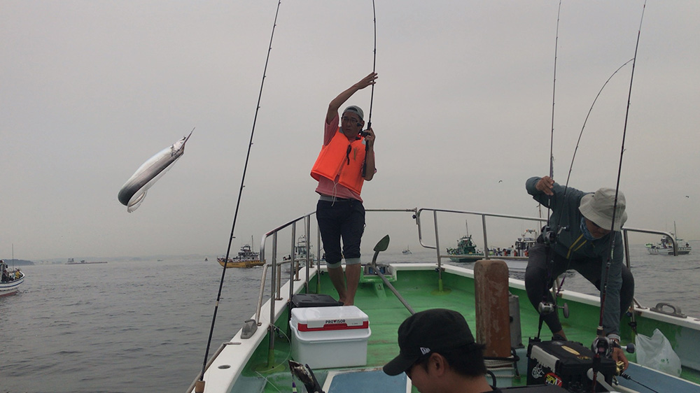 松木どんタチウオ抜き上げ