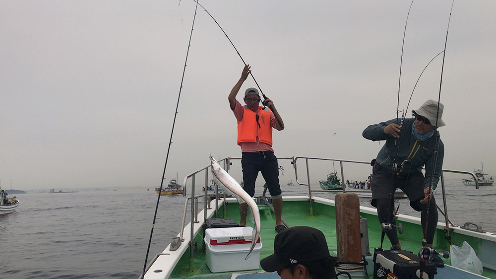 空飛ぶタチウオ