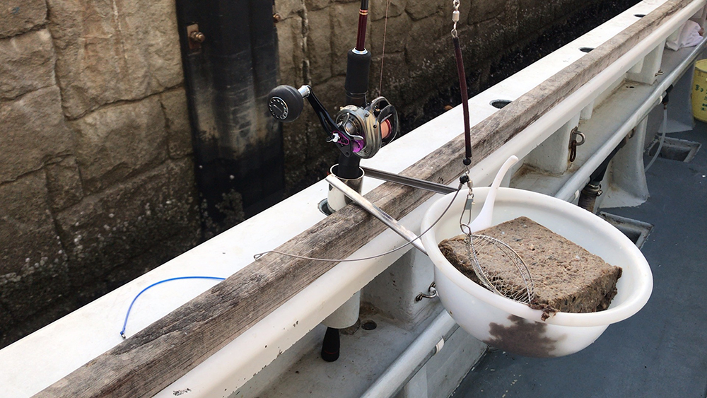 寄せエサのイワシのミンチ