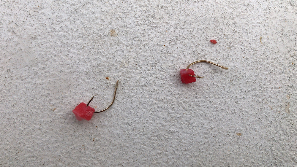 付けエサ「イカタン」