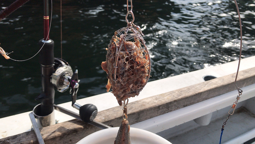 カゴにコマセを詰める