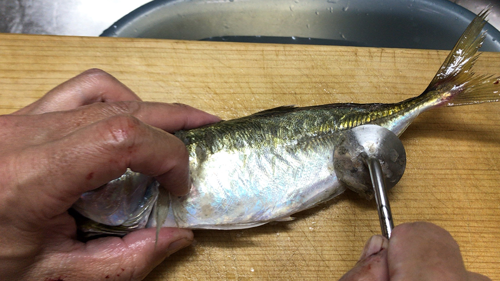 がまかつの鱗取り