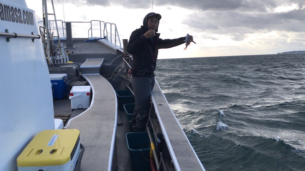 この日のファーストヒット、マダイ