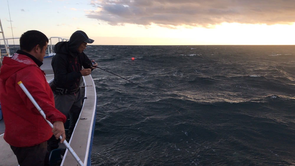 待望の大型マダイヒット