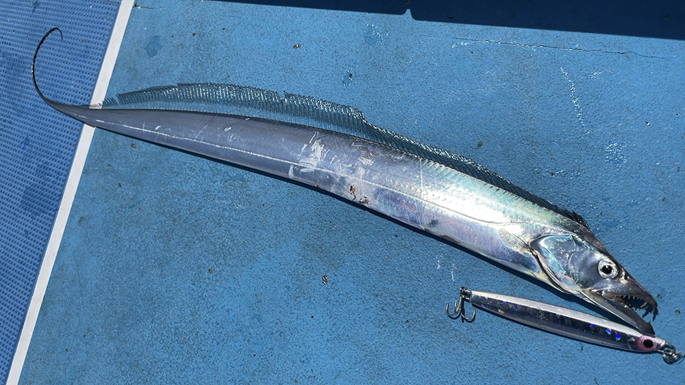 フックはリアのみ