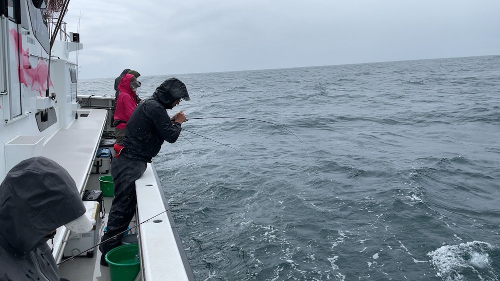 松木どんやりとり