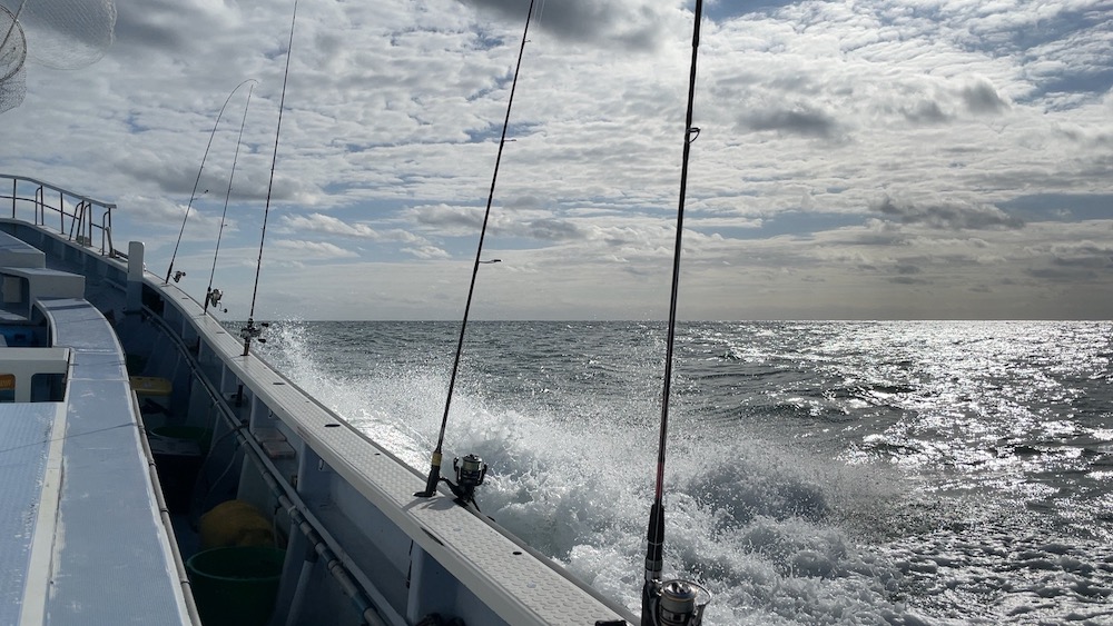 ちょっと荒れてる